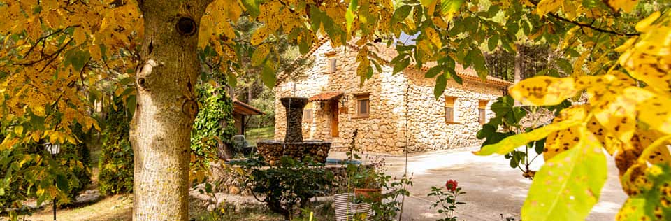 Casas Rurales Fuente El Ojico